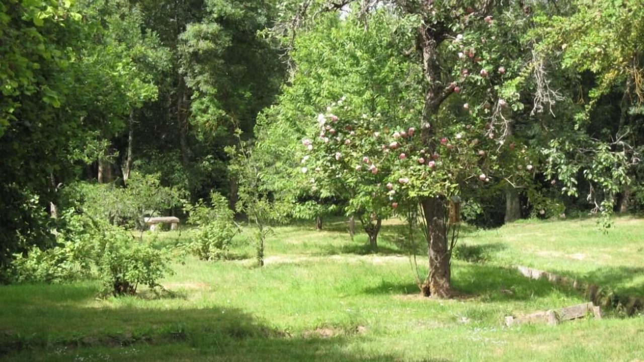 Photo of Outdoor in Chemille-sur-Indrois