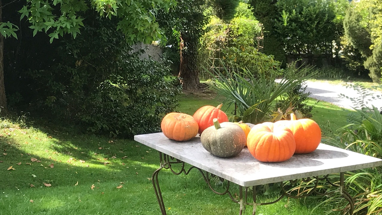 Photo of Outdoor in Aste-Beon