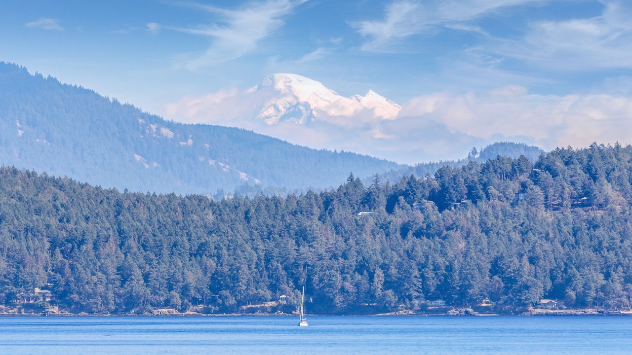 Photo of Others in Friday Harbor