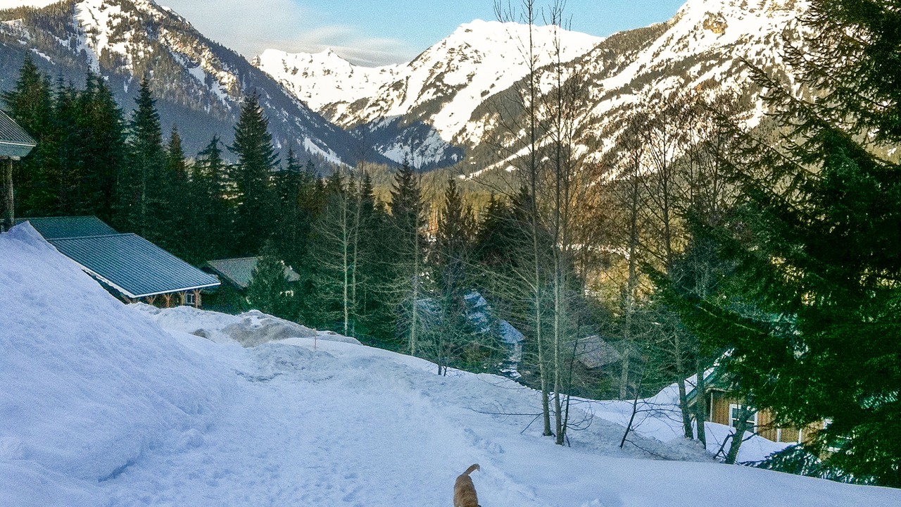 Photo of Others in Hyak