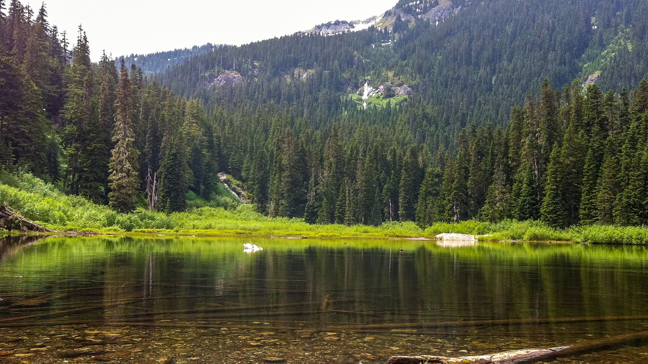 Photo of Others in Hyak