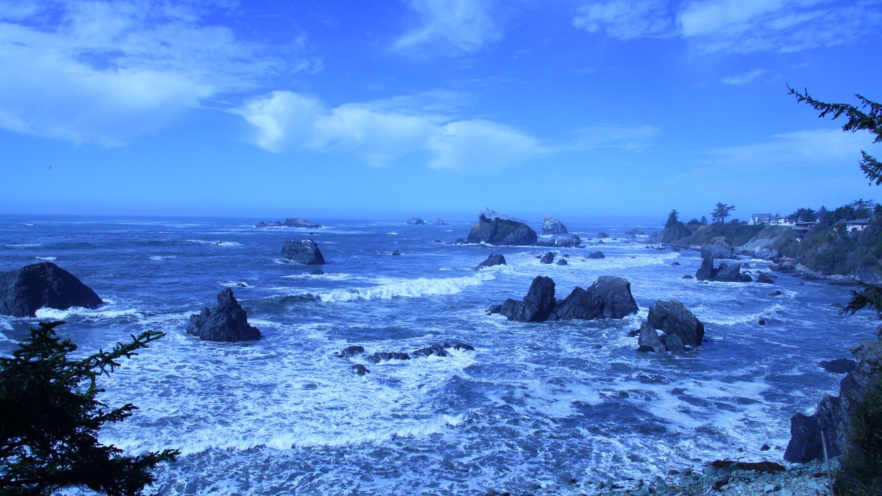 Photo of Others in Crescent City North