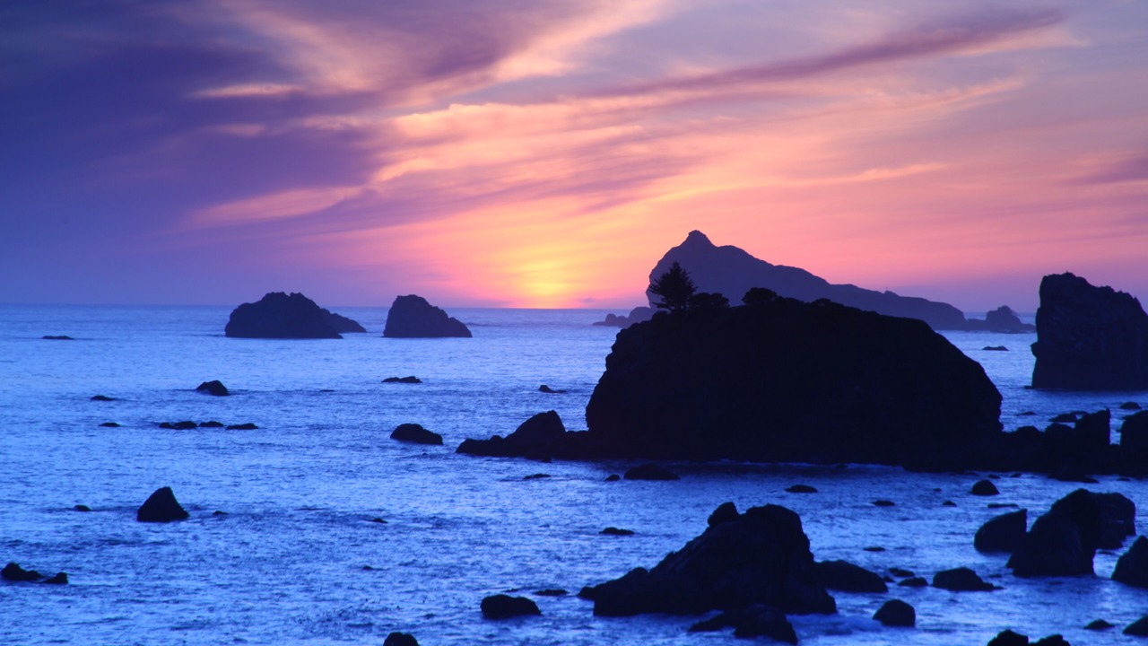 Photo of Others in Crescent City North