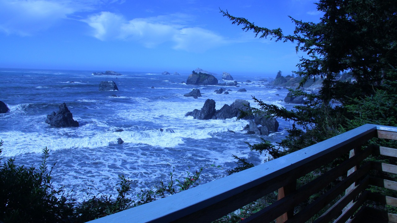 Photo of Others in Crescent City North