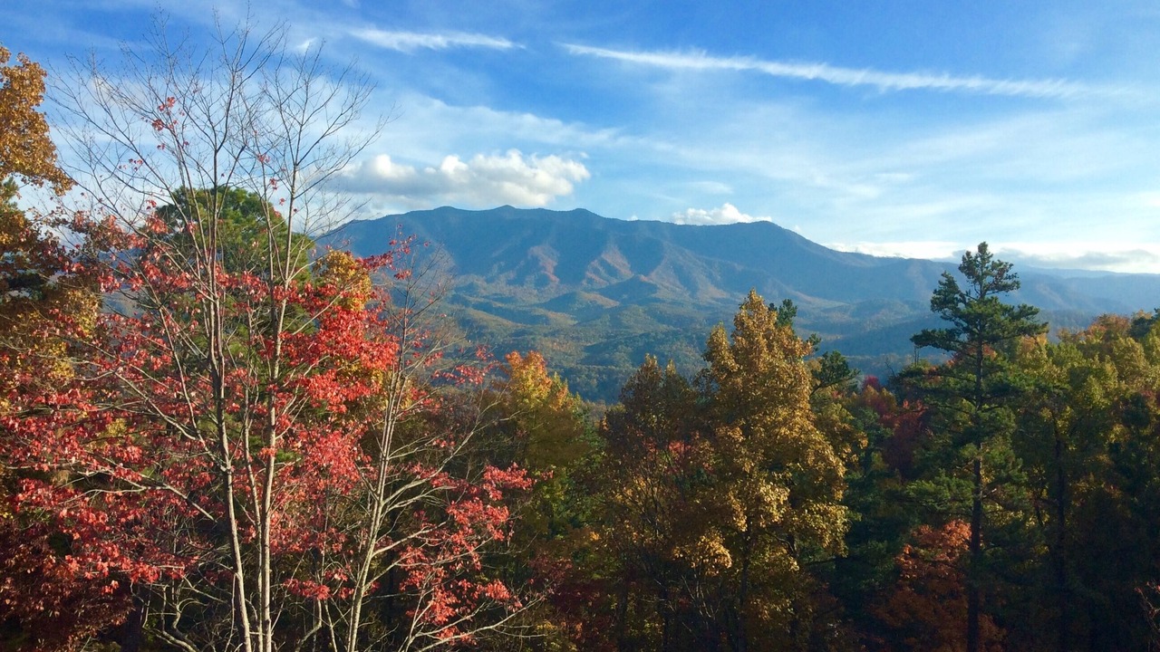 Photo of Others in Gatlinburg
