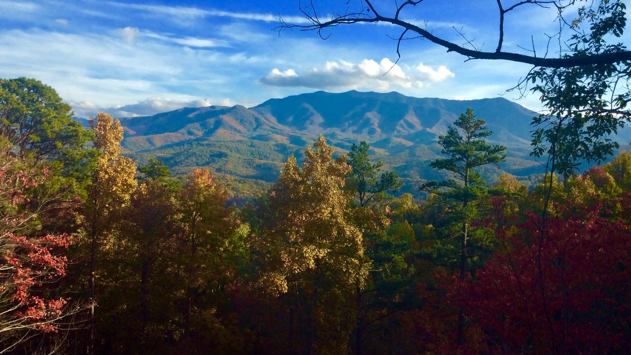 Photo of Others in Gatlinburg