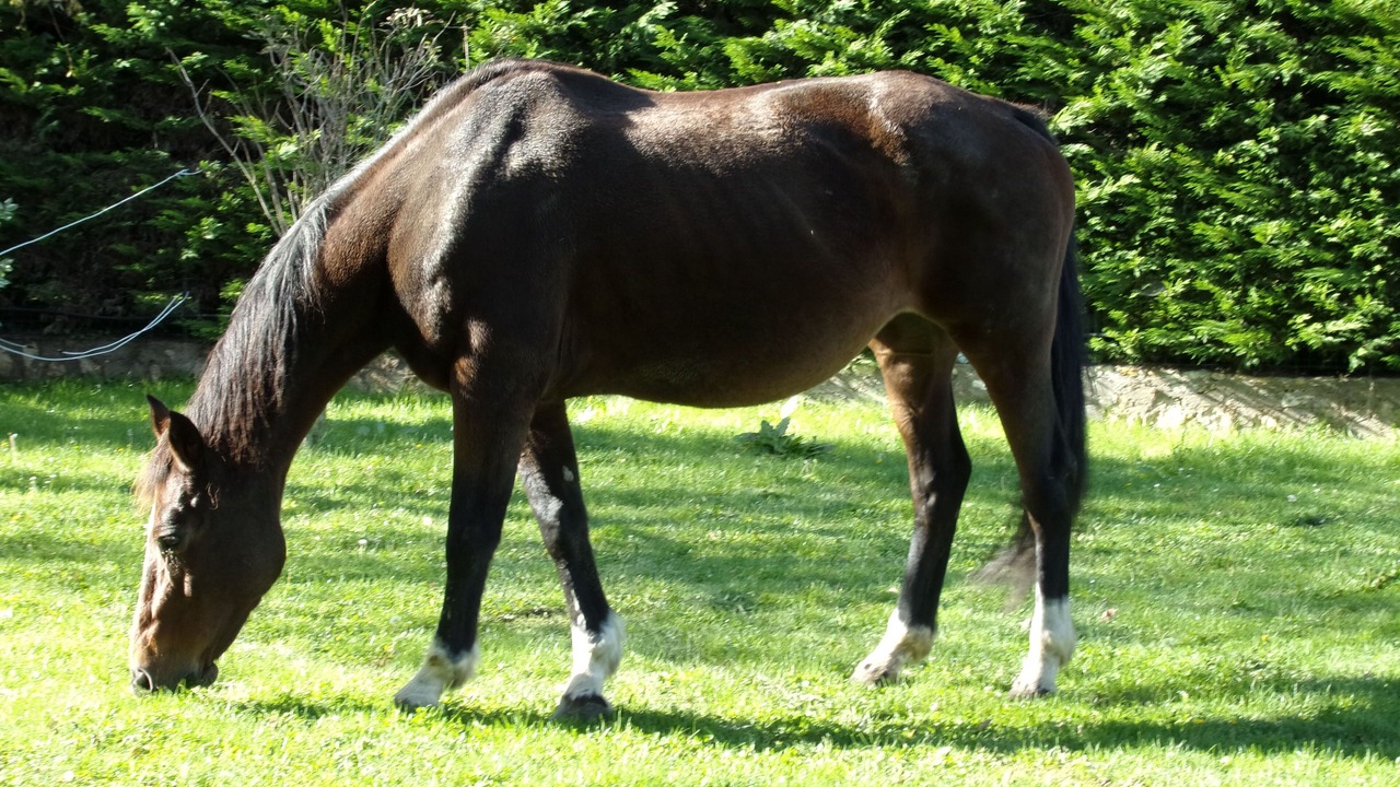 Photo of Outdoor in Lignieres