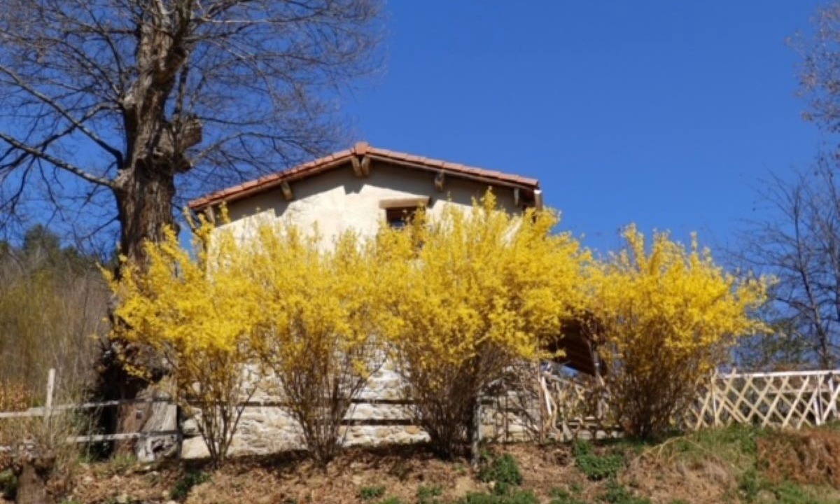 Photo of Outdoor in Montoulieu