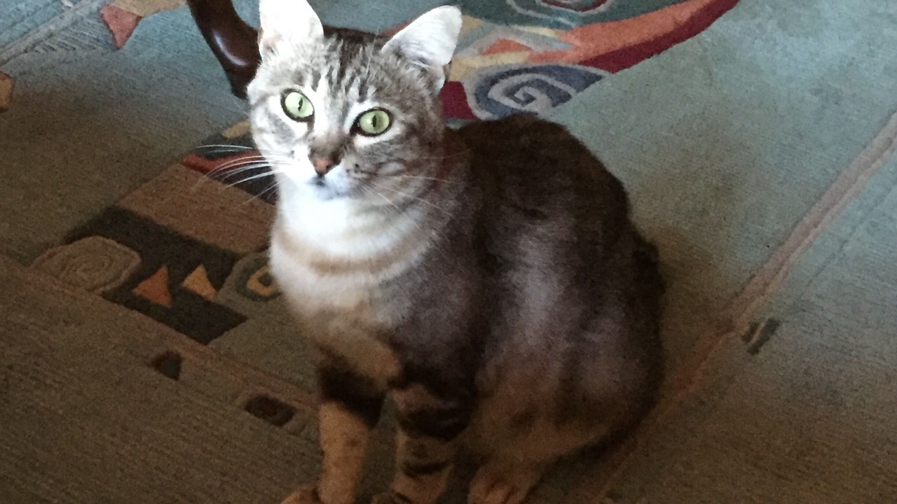 Photo of Others in Waldenburg