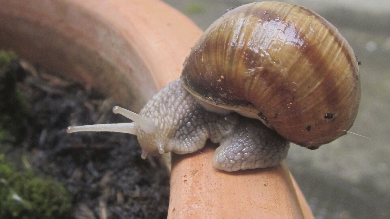 Photo of Others in Waldenburg