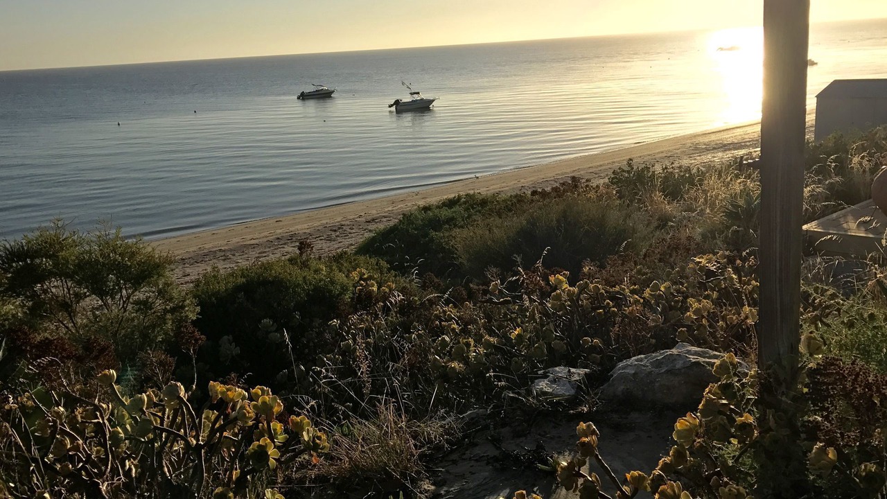 Photo of Others in Muloowurtie