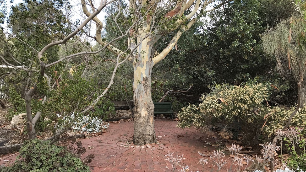 Photo of Outdoor in Muloowurtie