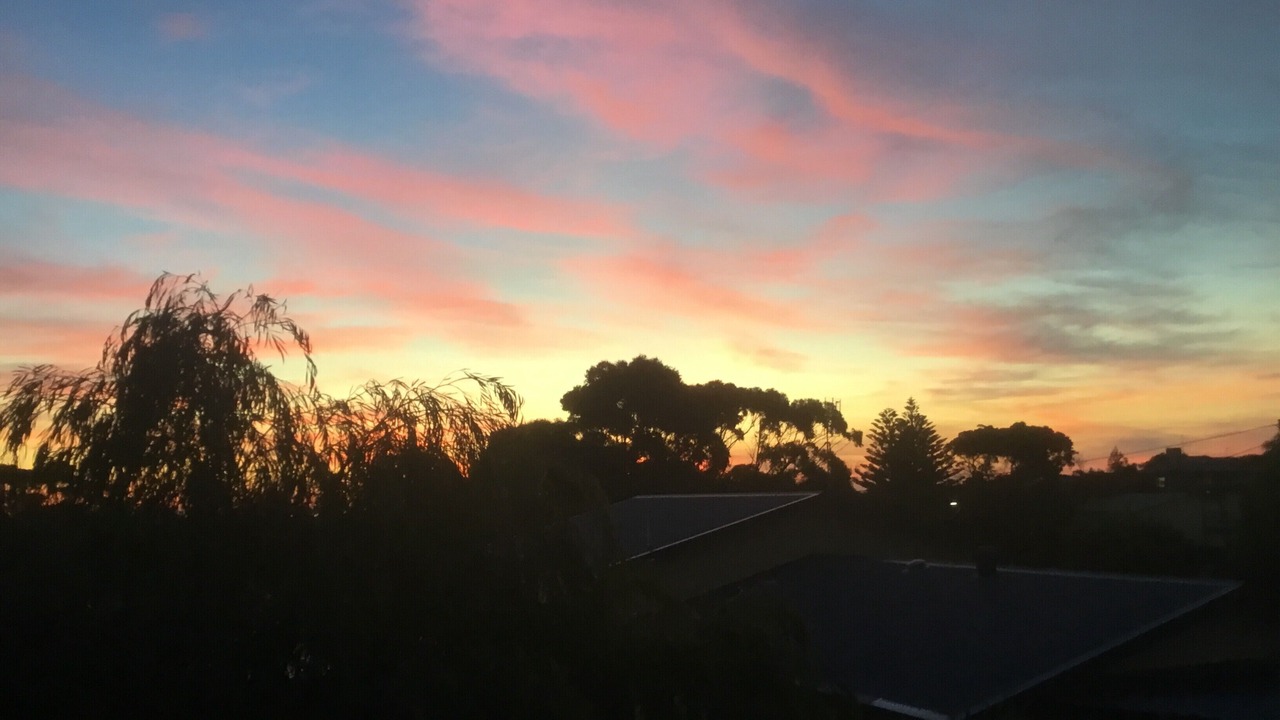 Photo of Others in Cape Paterson