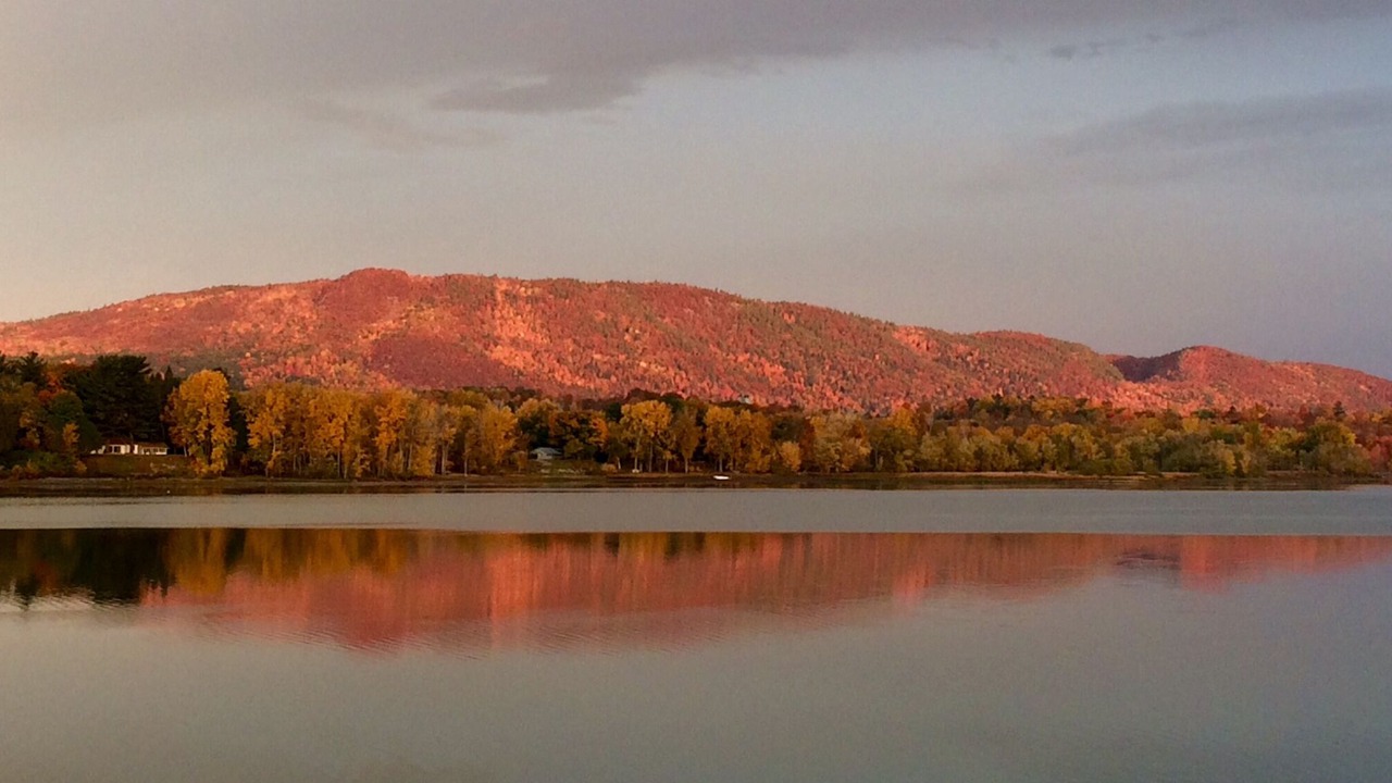 Photo of Others in Bridport