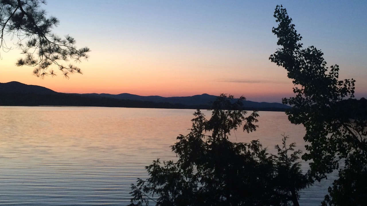 Photo of Others in Bridport