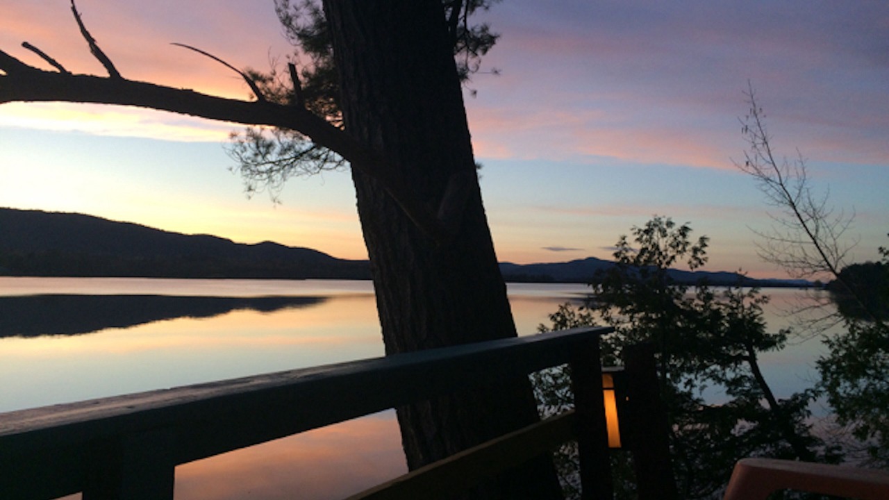 Photo of Others in Bridport