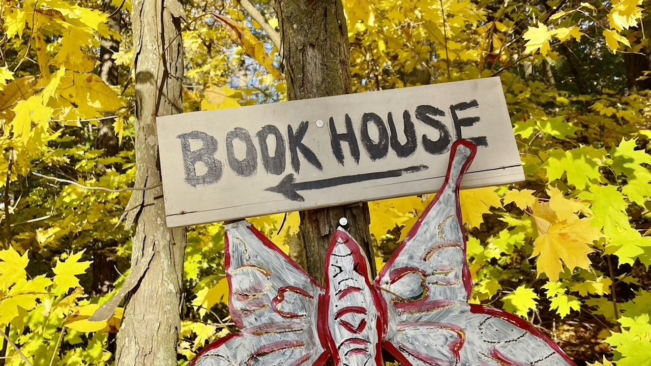 Photo of Outdoor in Bridport