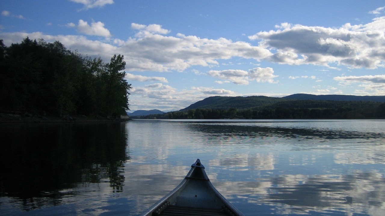 Photo of Others in Bridport