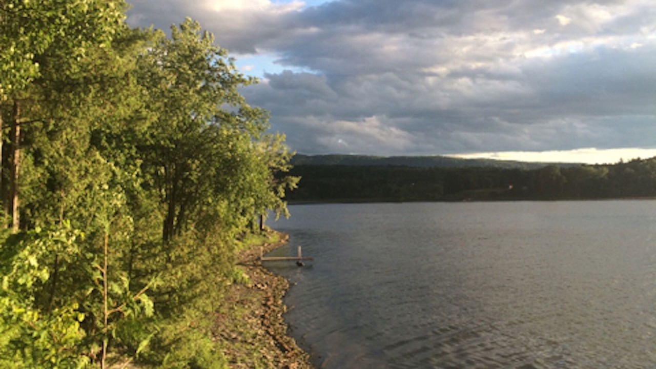 Photo of Others in Bridport