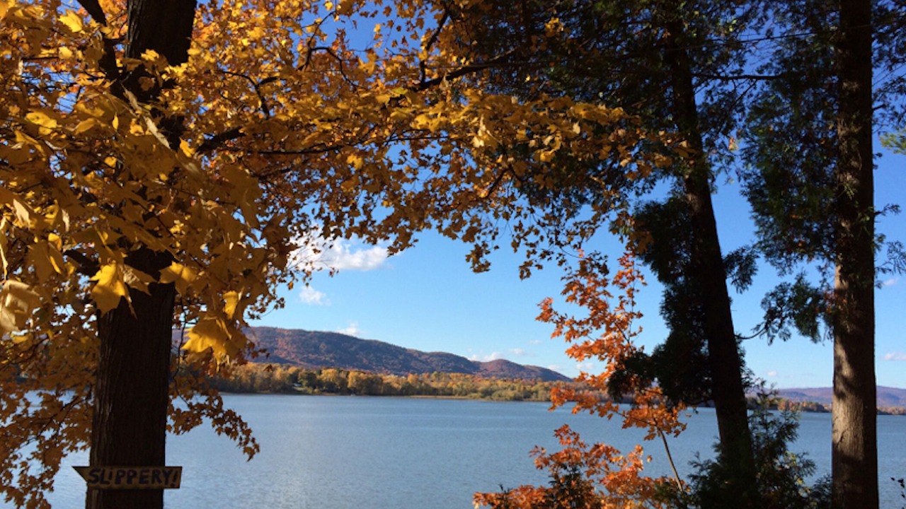 Photo of Others in Bridport