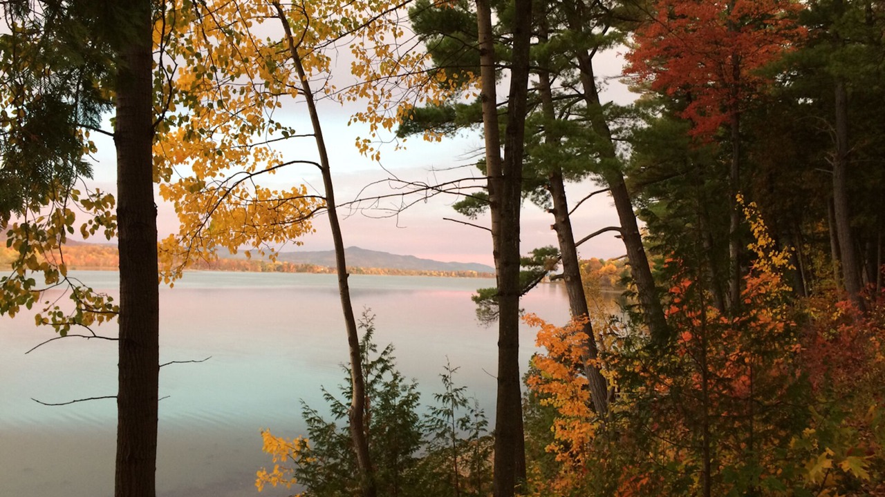 Photo of Others in Bridport