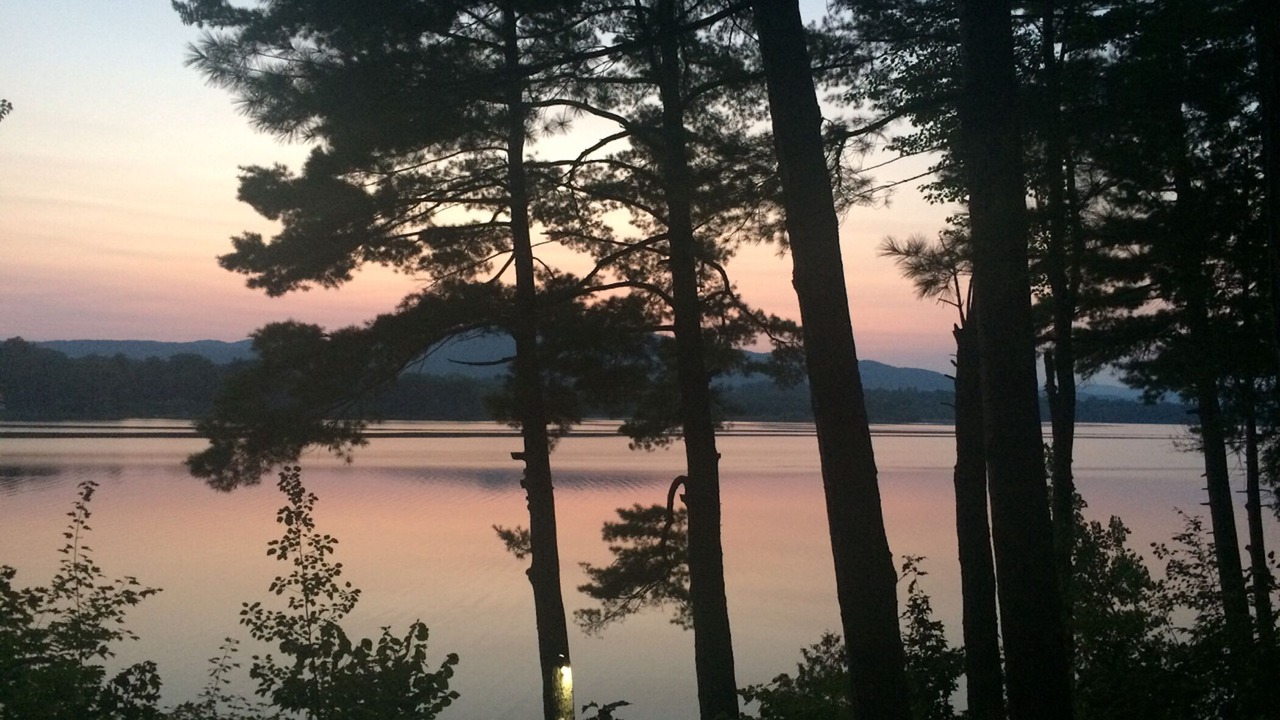 Photo of Others in Bridport