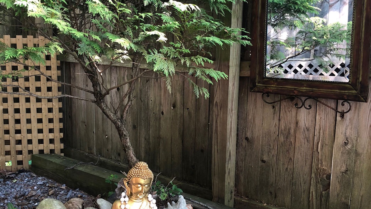 Photo of Outdoor in Bridport