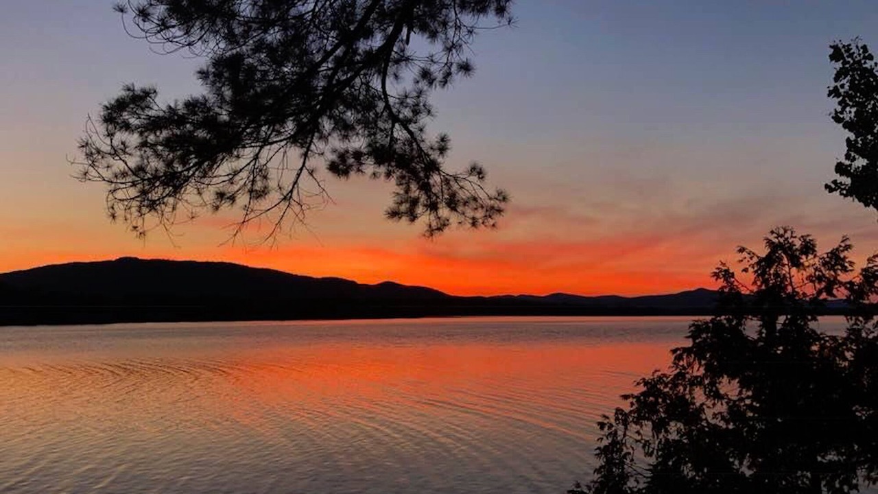 Photo of Others in Bridport