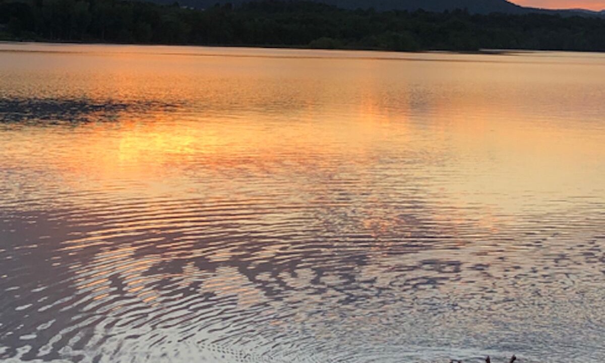 Photo of Others in Bridport