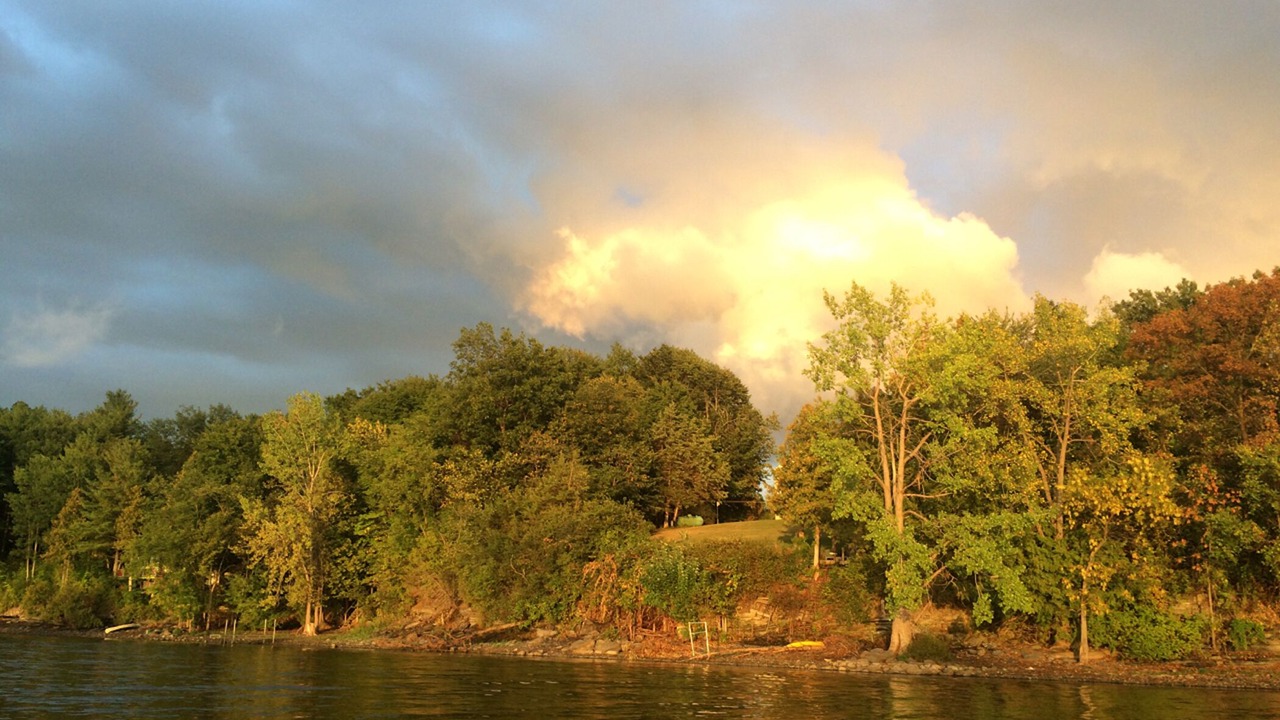 Photo of Others in Bridport