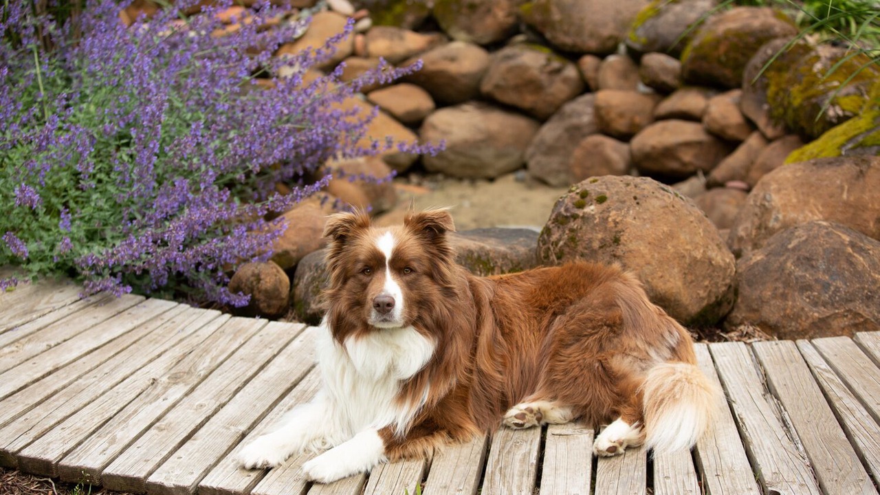 Photo of Outdoor in Multnomah Village