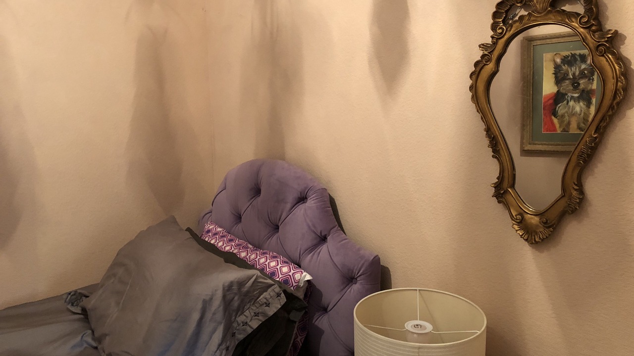 Photo of Bedroom in Wilbur Springs