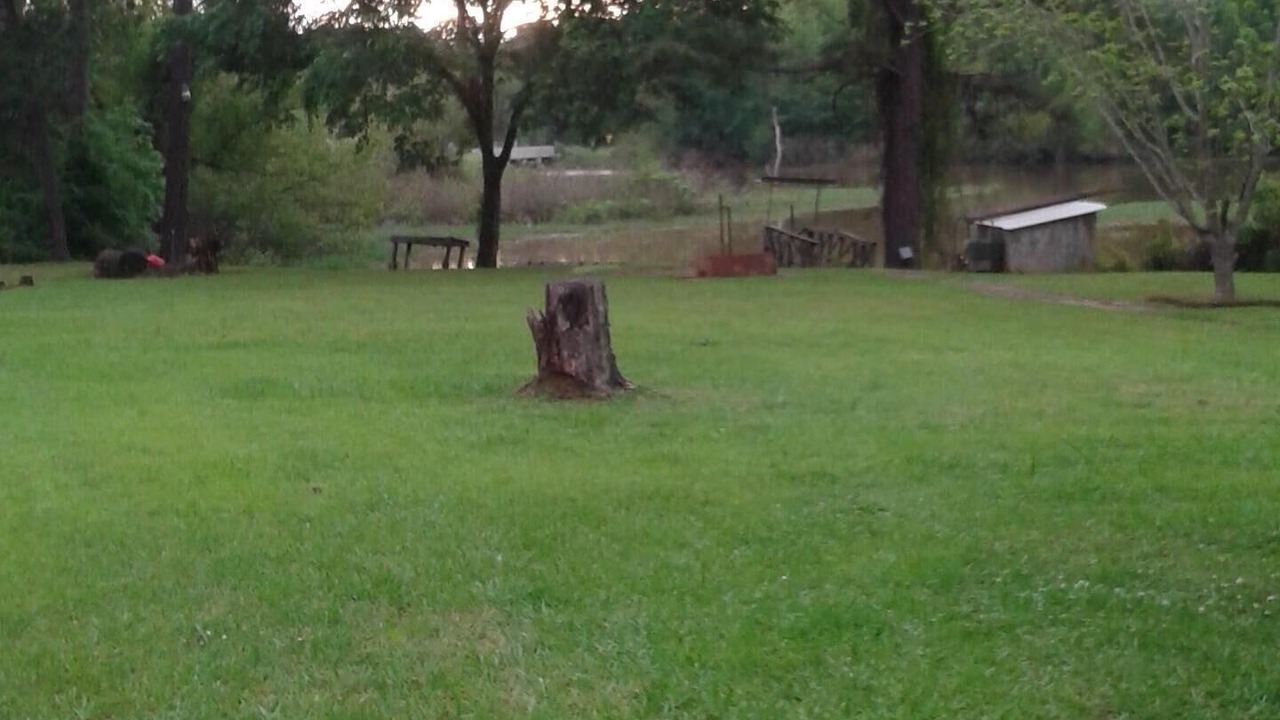 Photo of Outdoor in Negreet