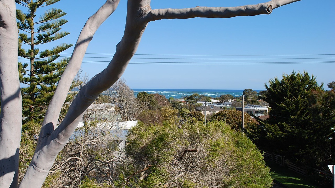 Photo of Others in Inverloch