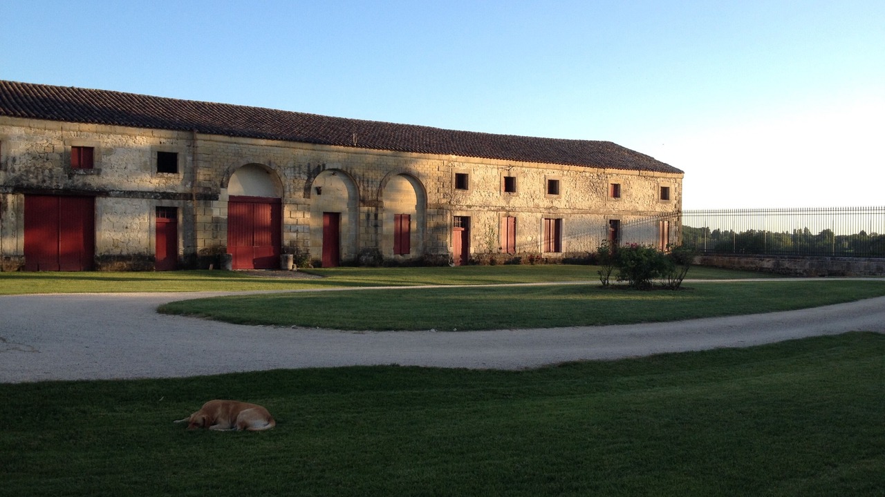 Photo of Outdoor in Tombeboeuf
