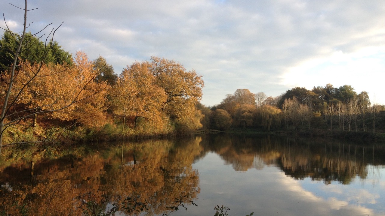 Photo of Others in Les Herbiers