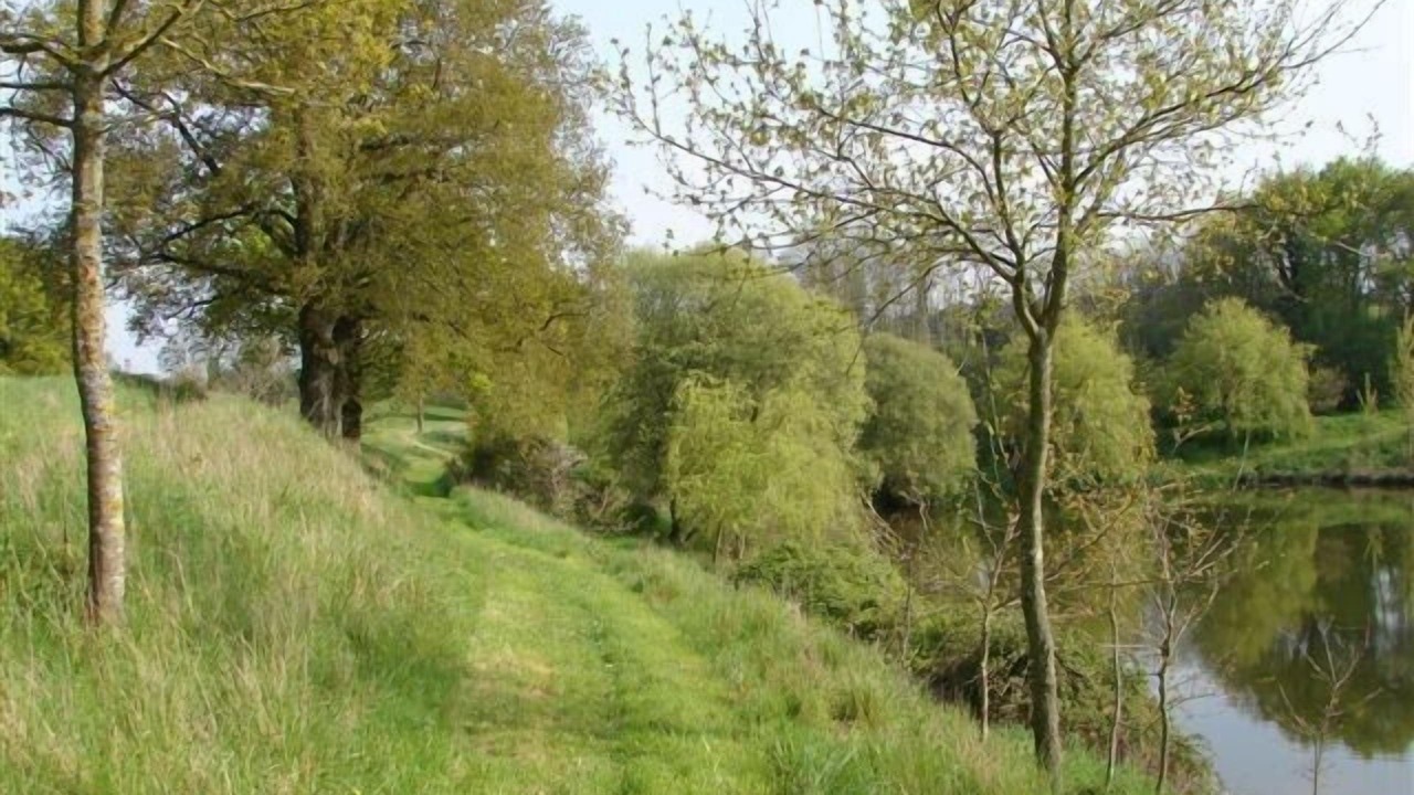 Photo of Outdoor in Les Herbiers