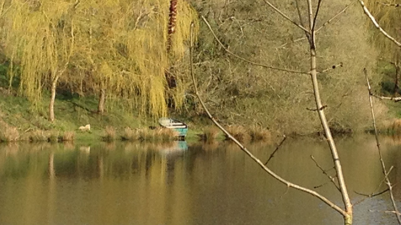 Photo of Outdoor in Les Herbiers