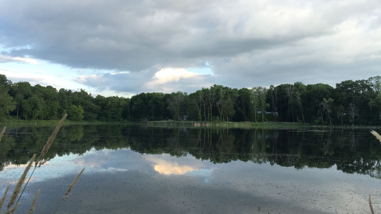 Photo of Outdoor in Shorewood