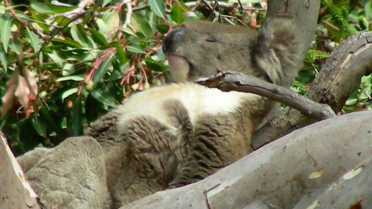 Photo of Outdoor in Island Beach