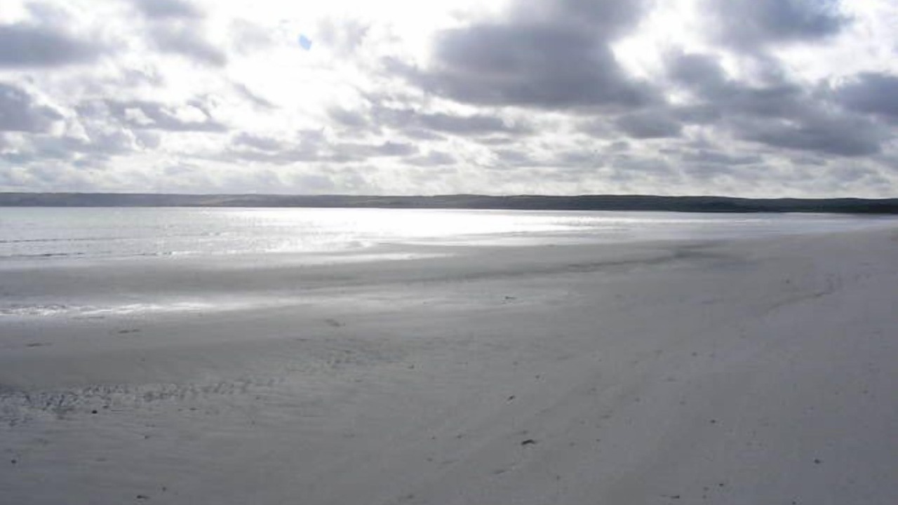 Photo of Others in Island Beach