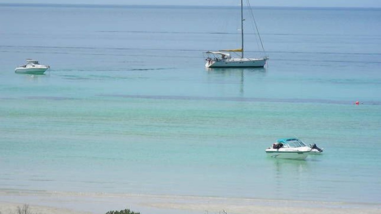 Photo of Others in Island Beach