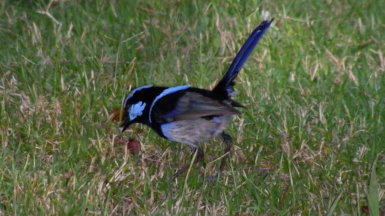Photo of Outdoor in Island Beach