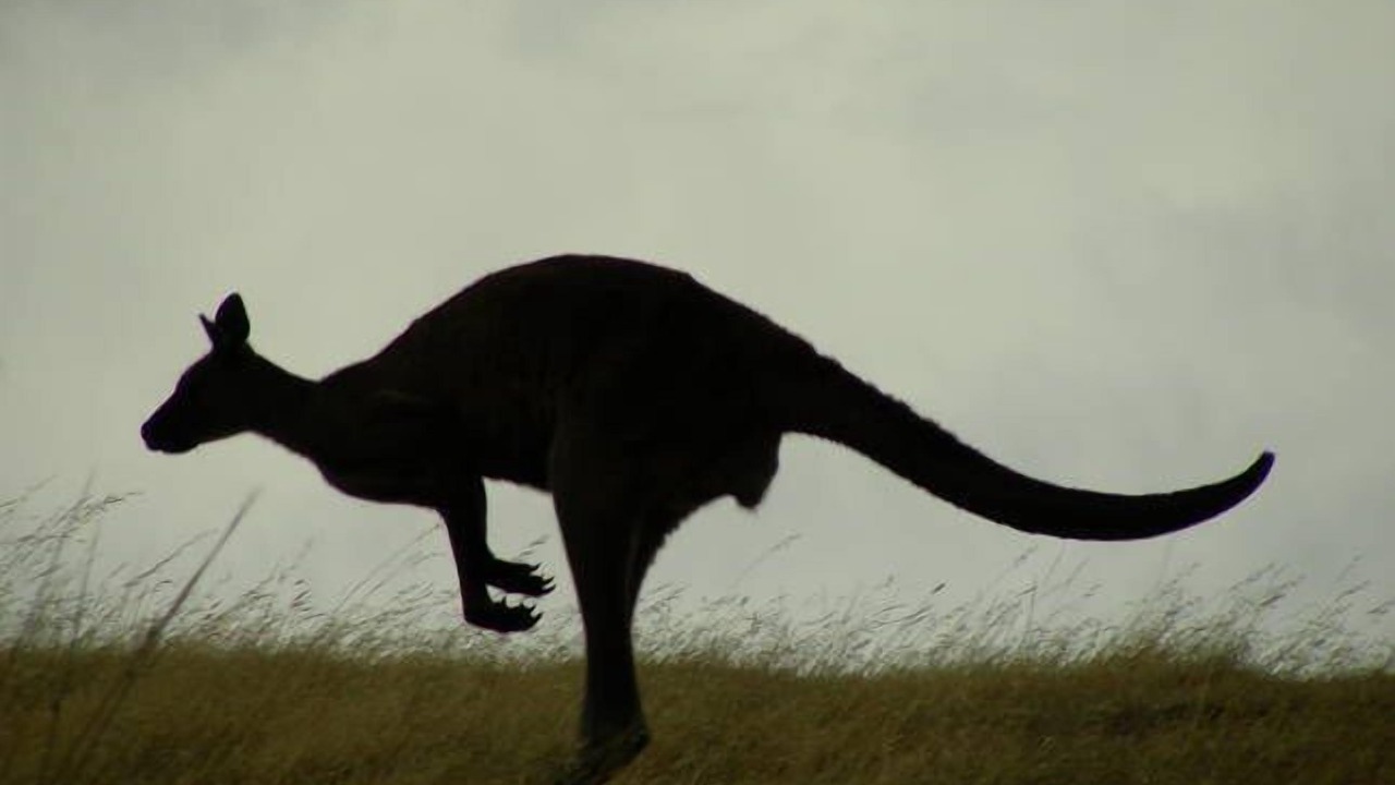 Photo of Others in Island Beach