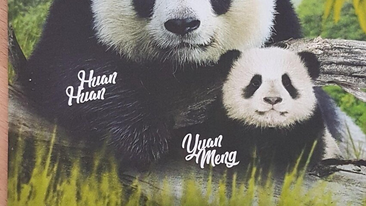 Photo of Others in Lesigny