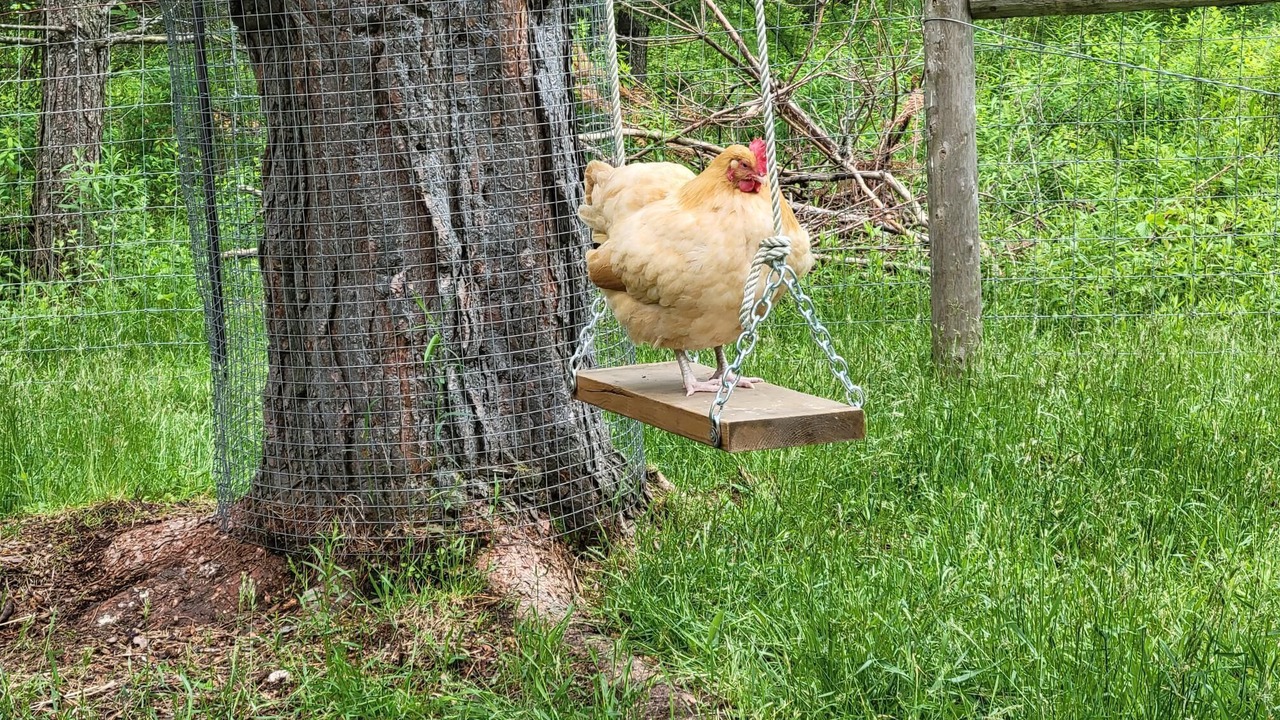 Photo of Outdoor in Huntsville