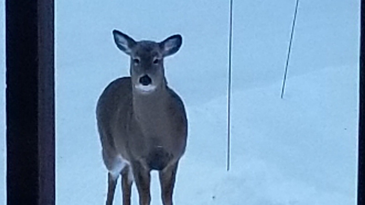 Photo of Outdoor in Huntsville