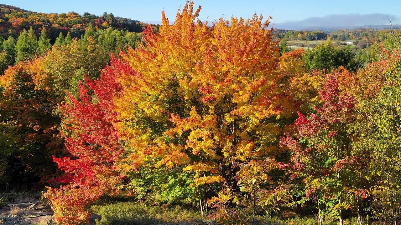 Photo of Outdoor in Huntsville