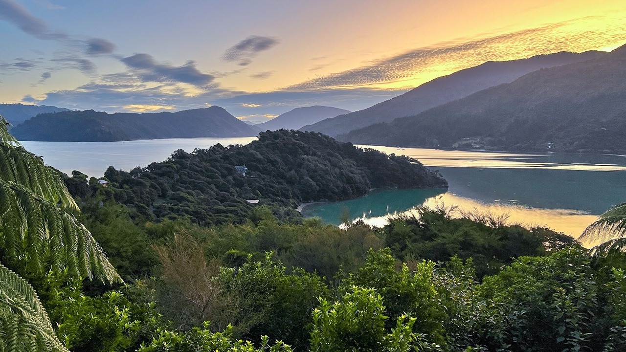 Photo of Others in Saint Omer