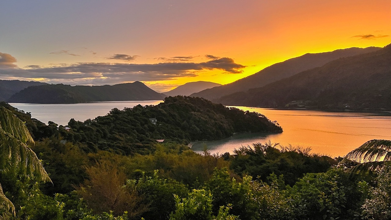 Photo of Others in Saint Omer